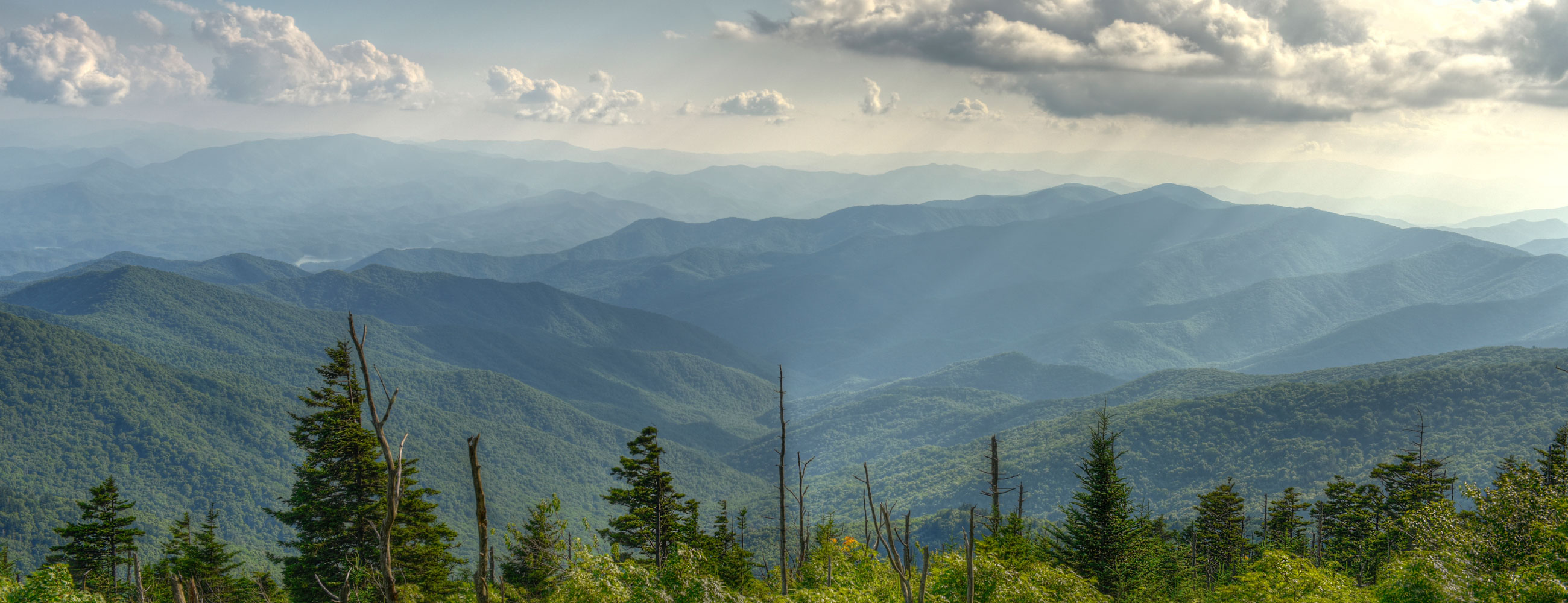 Elementy SE Elementy SE