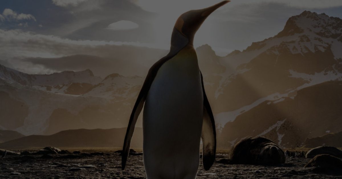 139-tajomstva-zdravia-cover