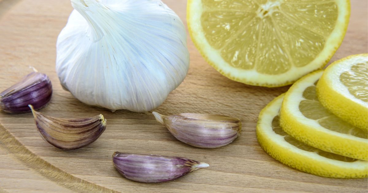 detoxpecenespecinapoj