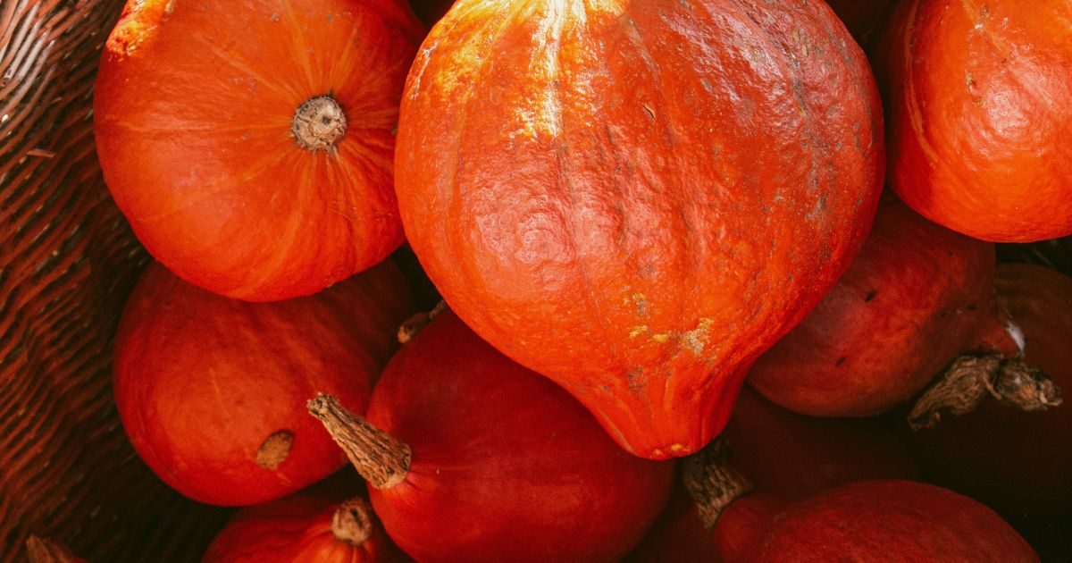 detoxslezinapankreas