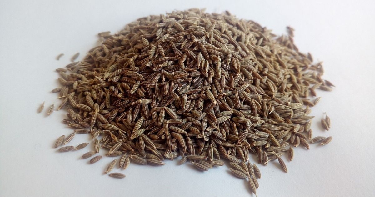 detoxzaludkaposilnenietravenia