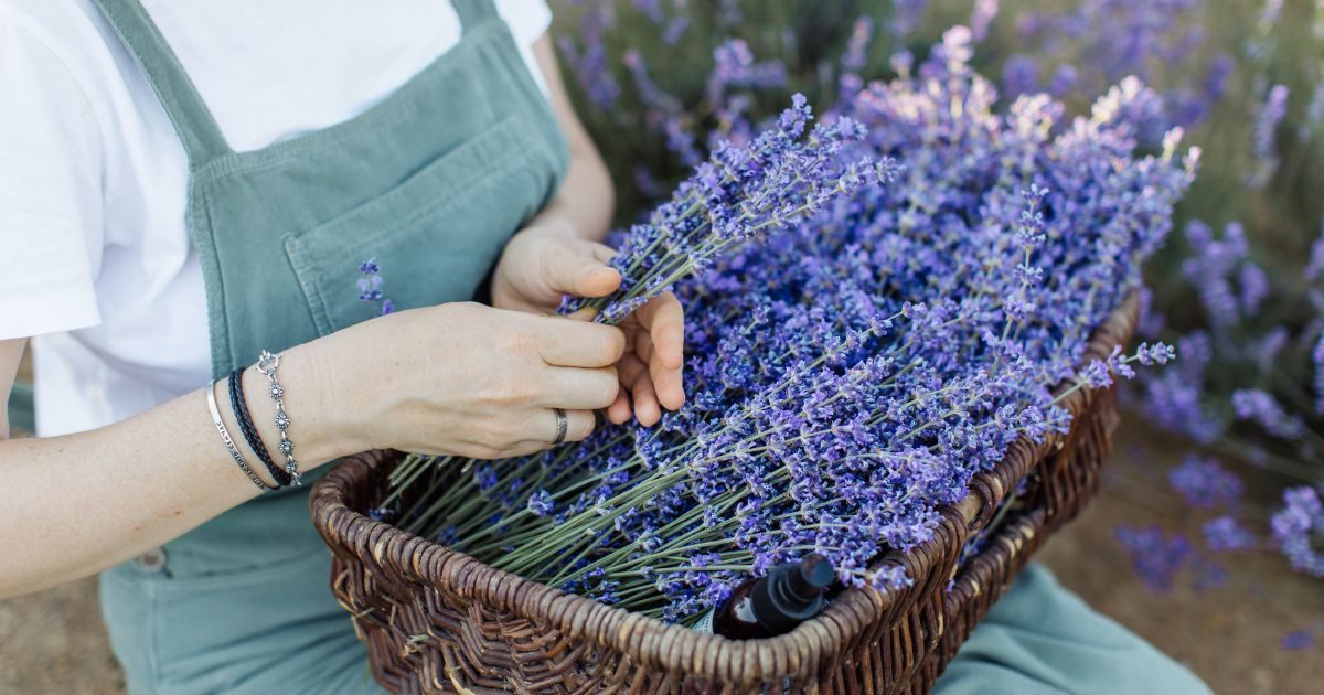 dmchorobysvalovkosti