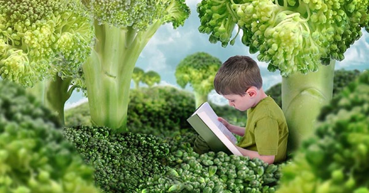 ludiapodlaelementov-zdravy-vyvoj-dietata-featured