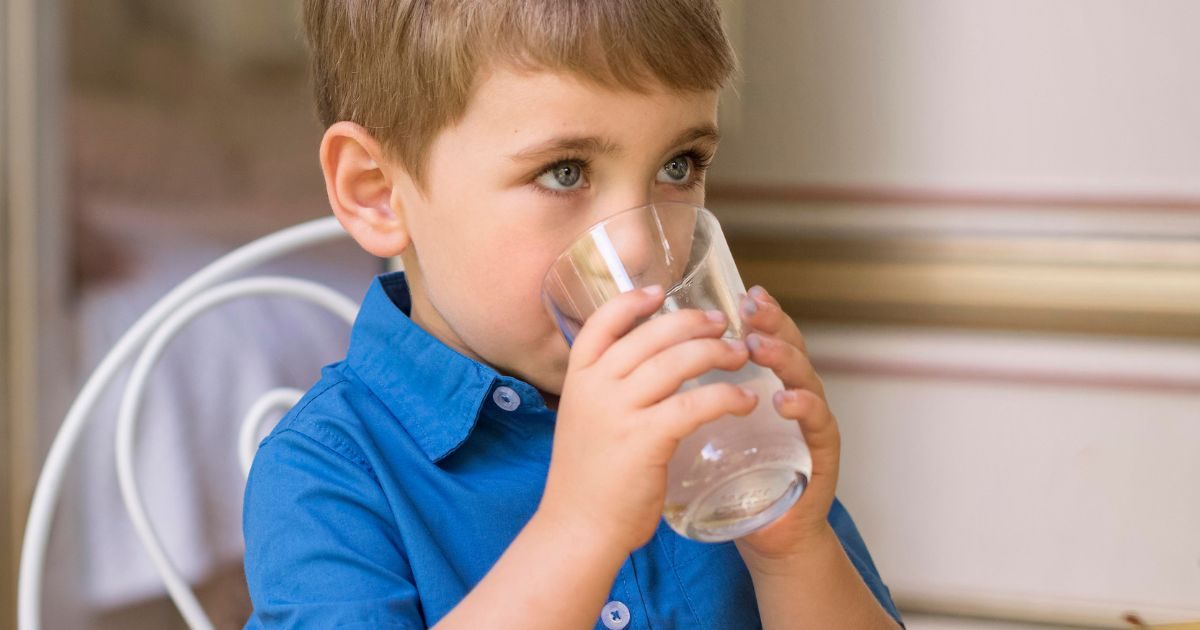 napojvitalityprenajmensichzkuzu