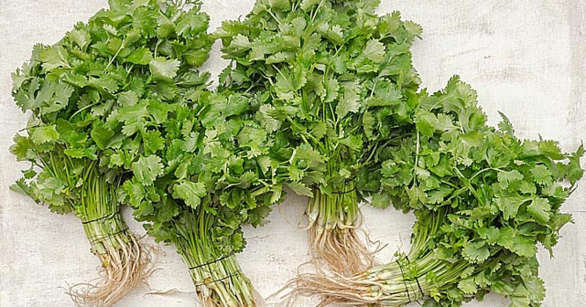 pomoczprirody-detoxikacia-klbov-korenom-z-petrzlenu-featured