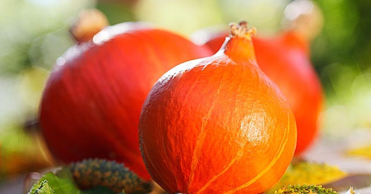 pomoczprirody-detoxikacia-sleziny-a-pankreasu-stravou-featured