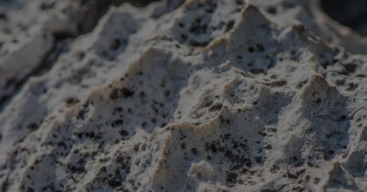 pomoczprirody-sk-cover-vapnik