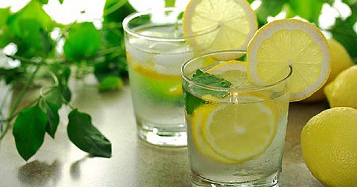 10010433 - lemon water with fresh lemons and green plants